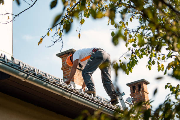 Best Roof Gutter Cleaning  in St Albans, VT